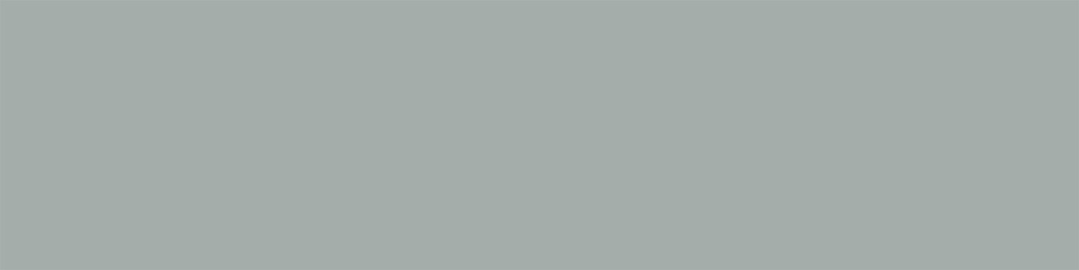 DANN GREY NATUREL 25X100 - 1,7 m²