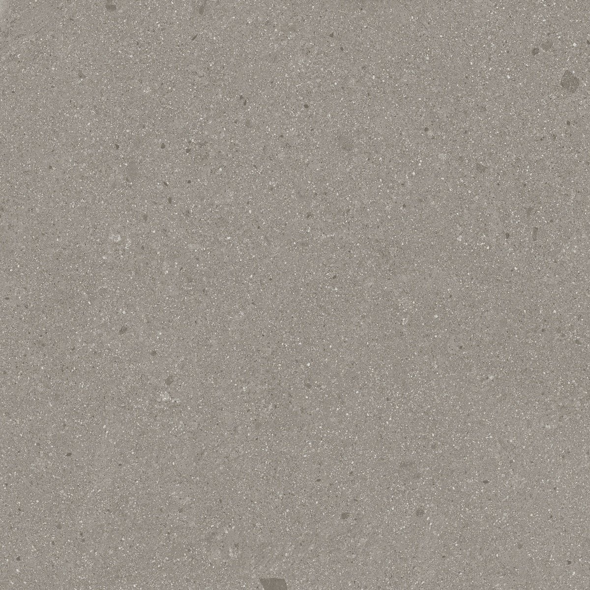 Carrelage grand format aspect terrazzo GALBE NUEZ NUEZ   80X80- 1,28 m²