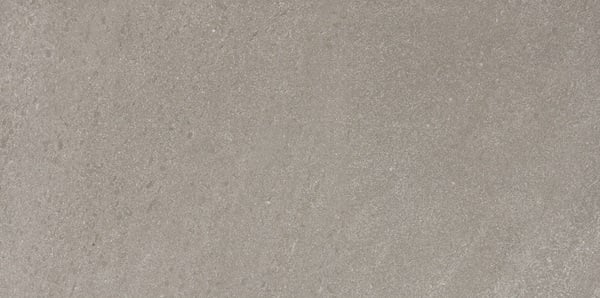 Carrelage effet pierre CARY SILVER R10 - 30X60 - 1,26 m²