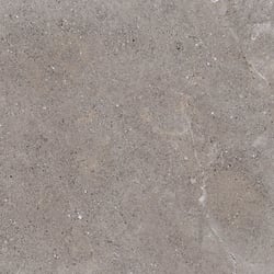 SONIX GREY BRILLANT 29,5X58,5 - 1,4 m² Coem ceramiche