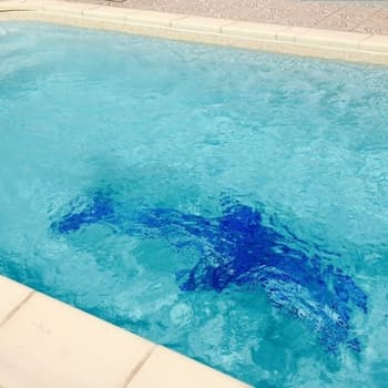 Mosaique piscine Nieve vert caraibe 3057 31.6x31.6 cm - 2 m² 