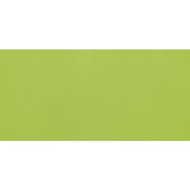 ECHANTILLON (taille variable) de Carrelage Métro plat 10x20 cm vert brillant FLAT VERDE BRILLO