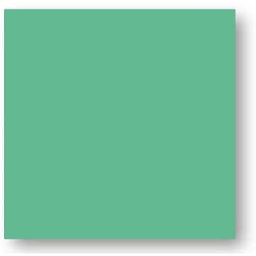 ECHANTILLON (taille variable) de Faience colorée vert foncé Carpio Verde brillant ou mat 20x20 cm