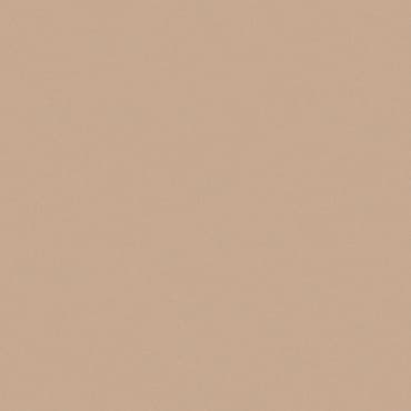 ECHANTILLON (taille variable) de Carreaux 10x10 cm beige mat LINO CERAME