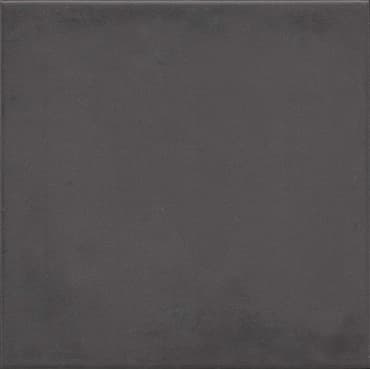 ECHANTILLON (taille variable) de Carrelage uni gris vieilli 20x20 cm 1900 Basalto