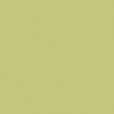 ECHANTILLON (taille variable) de Carrelage uni 20x20 cm vert olive MELA MATT