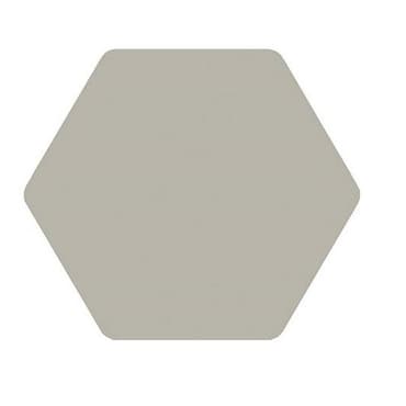 Carrelage tomette gris 25x29cm TOSCANA PERLA-   - Echantillon