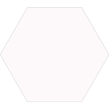 ECHANTILLON (taille variable) de Carrelage tomette blanche 33x .5 OPAL BLANC