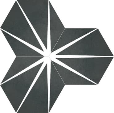 Tomette noire décorée STARLINE BLACK NAT - Hexagone 25x30 cm - R10 - 0.935m²