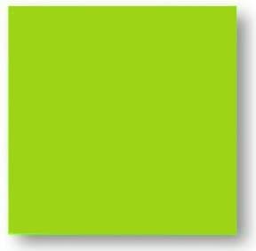 Faience colorée vert Carpio Menta brillant 20x20 cm - 1m²