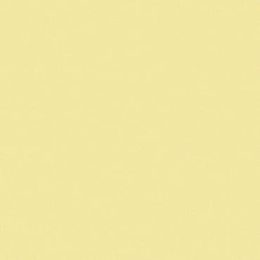 Carrelage uni jaune 20x20 cm BANANA MATT - 1.4m²