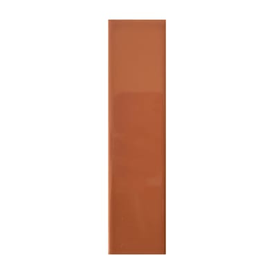 Faïence moderne DELIGHT TERRAE GLOSS 5x20 cm