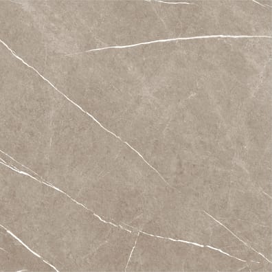 Carrelage imitation marbre ETERNEL TAUPE 60X60 - 1,08m²