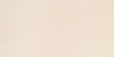 Carrelage intérieur DAGNE IVORY R10 - 30X60 - 1,26 m²