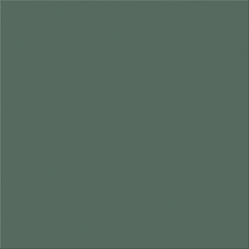 Carrelage coloré CRISP KELP 20x20