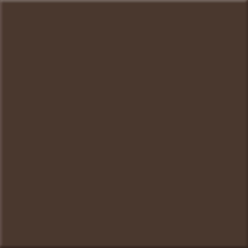 Carrelage uni TIERRA CHOCOLAT MATT 20x20 cm
