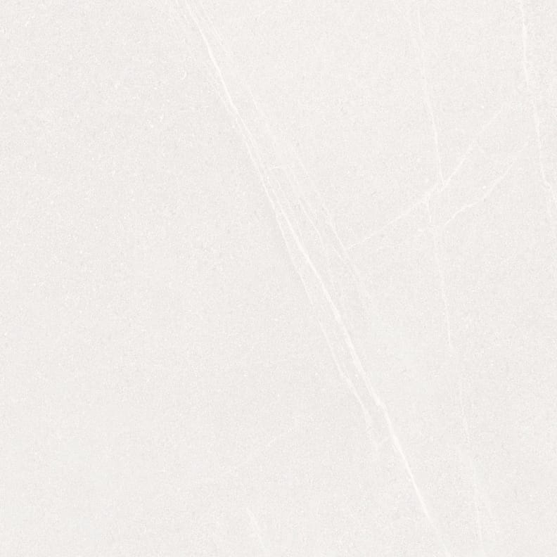 Carrelage pleine masse rectifié UPEC SAALES BLANCO 59,3x59,3- 1,41 m²