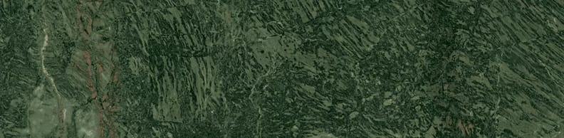 Faïence effet marbre MARMORIA VERDE ALPI 6x25 cm