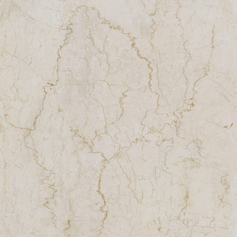 Carrelage effet marbre MEDICI BOTTICINO RETT 60x60 cm