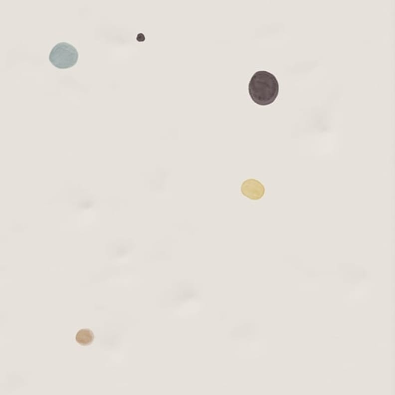 Faience murale décorée ALEPINE    20X20- 1 m²