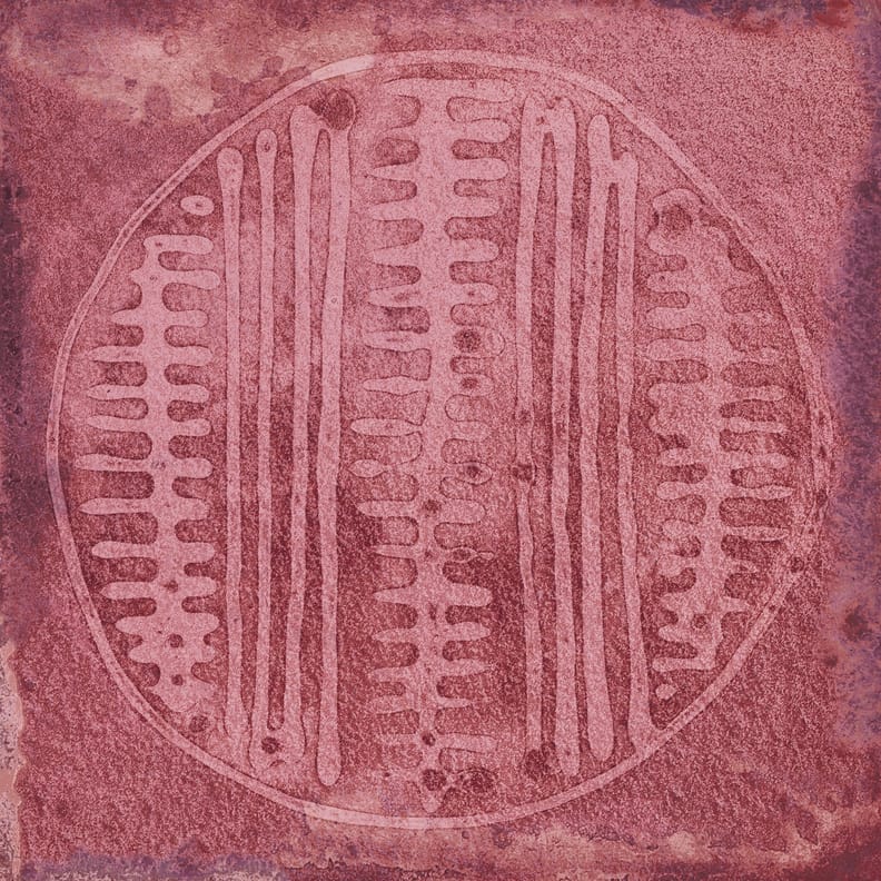 Faience murale décorée CALICOT GRANATE GRANATE   20X20- 1 m²