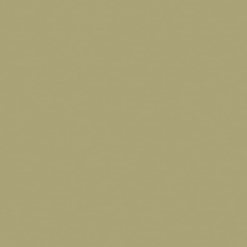 Carrelage uni BORBOREMA MINZZ 20X20- 1 M²