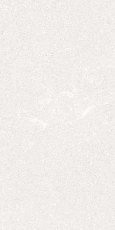 Carrelage pleine masse rectifié UPEC SAALES BLANCO 29,3x59,3- 1,22 m²