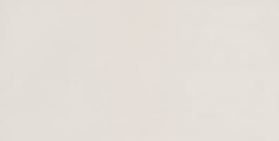 Carrelage intérieur DAGNE WHITE R10 - 60X120 - 1,44 m²