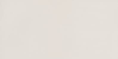 Carrelage intérieur DAGNE WHITE R10 - 30X60 - 1,26 m²