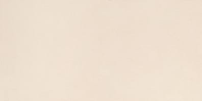 Carrelage intérieur DAGNE IVORY R10 - 30X60 - 1,26 m²