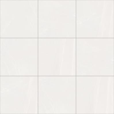 Carrelage pleine masse rectifié UPEC SAALES BLANCO 59,3x59,3- 1,41 m²