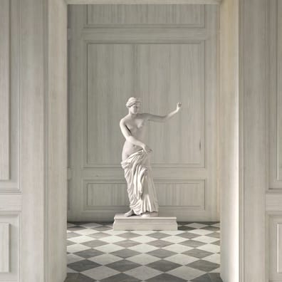 Carrelage effet marbre MEDICI BARDIGLIO RETT 10x60 cm