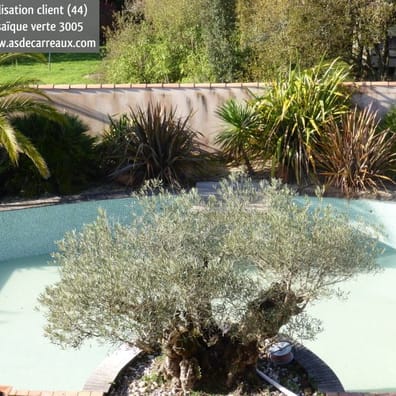 Carrelage uni vert clair 30x30 cm dans un jardin avec piscine, entouré de végétation et mobilier dextérieur