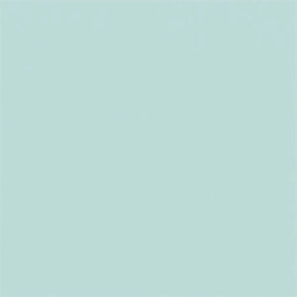 Faience colorée CARPIO VERDE-C 20x20 - vert clair brillant ou mat - 1m²