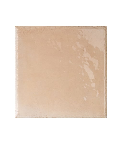 Carrelage aspect chic LE MARAIS PESCA 20x20 cm