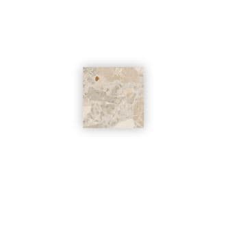 Carrelage Terrazzo nuances de beige et gris avec éclats décoratifs 20x20 cm