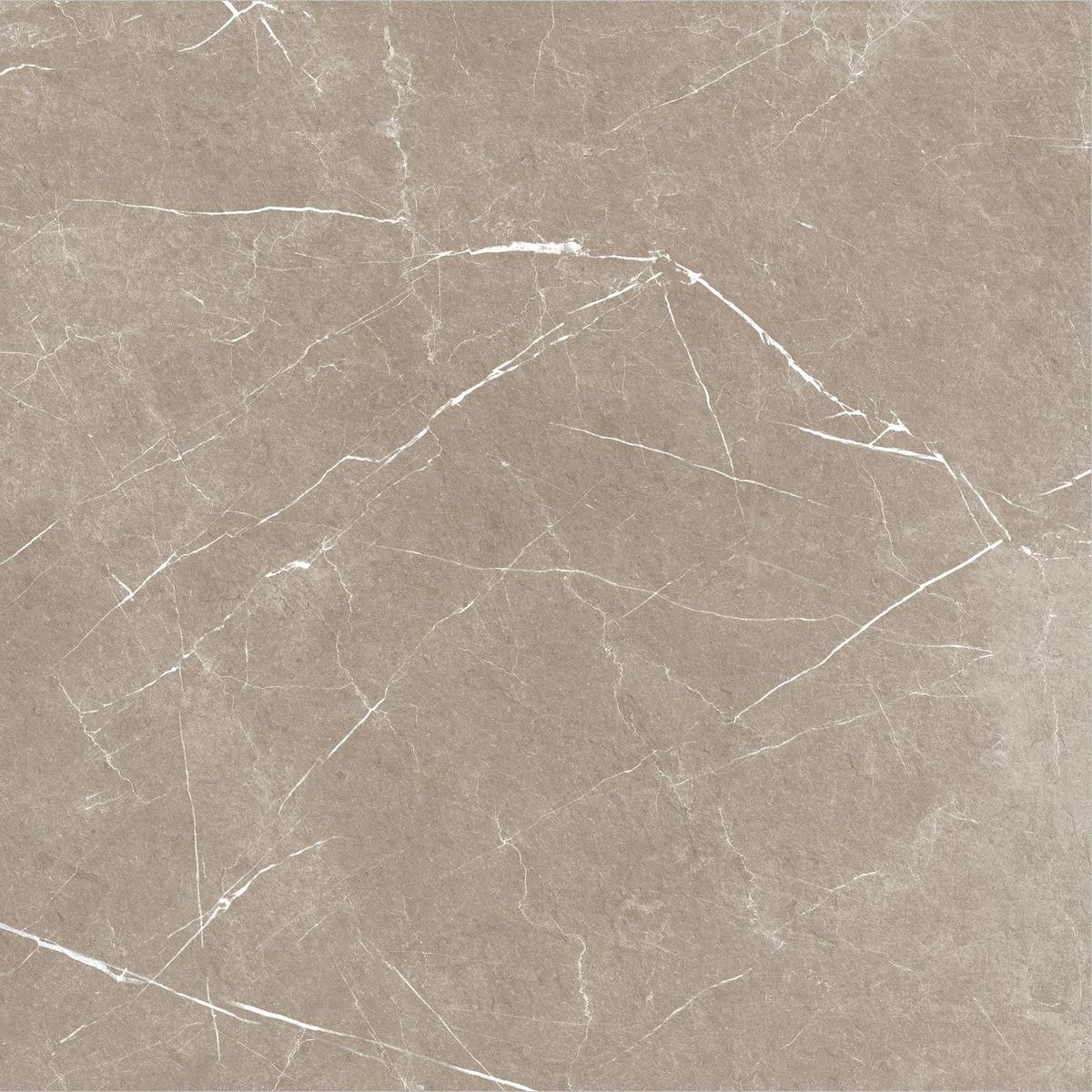 Carrelage imitation marbre ETERNEL TAUPE 60X60 - 1,08m²