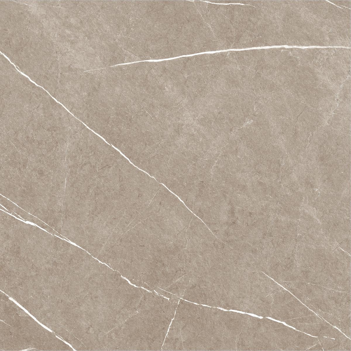 Carrelage imitation marbre ETERNEL TAUPE 120X120 - 1,44m²