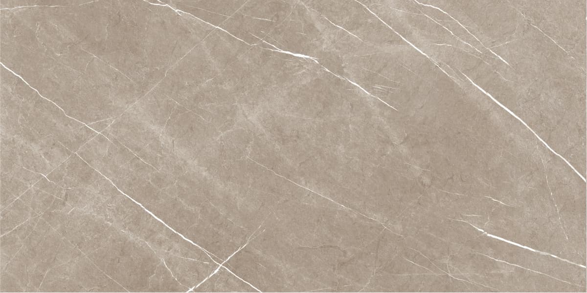 Carrelage imitation marbre ETERNEL TAUPE PULIDO 60X120 - 1,44m²