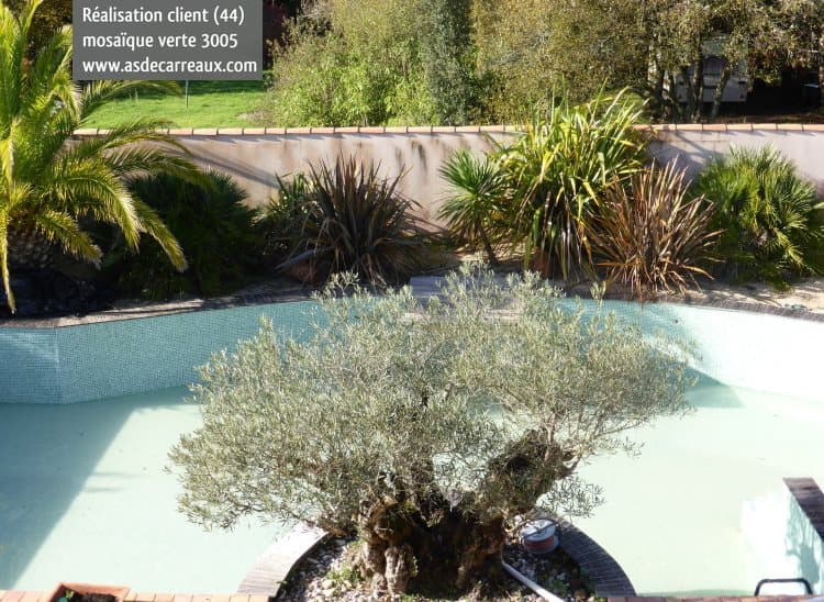 Carrelage uni vert clair 30x30 cm dans un jardin avec piscine, entouré de végétation et mobilier dextérieur