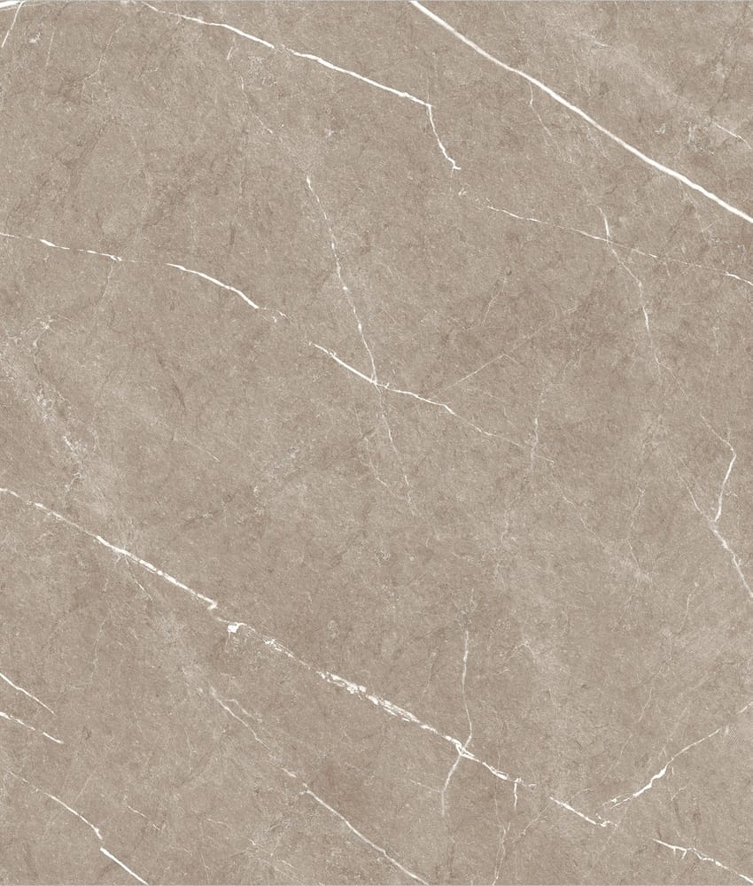 Carrelage imitation marbre ETERNEL TAUPE 60X60 - 1,08m²