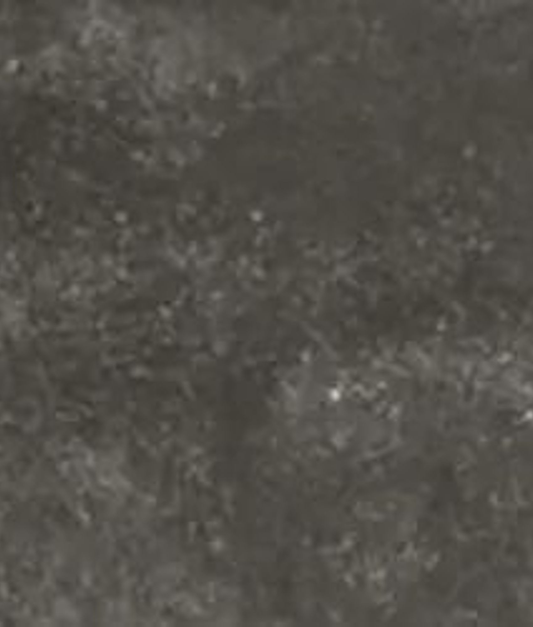 EARTH EBONY MATT 7,5X30 - 1 m²