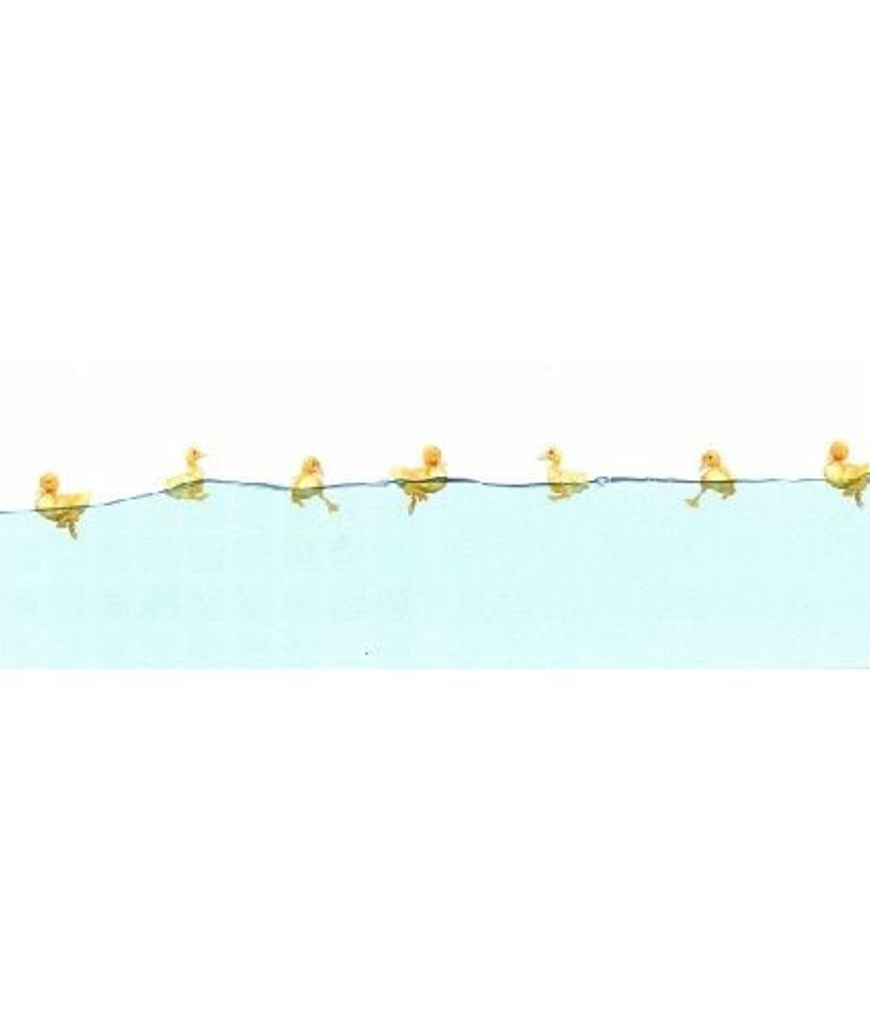 Paroi de douche fixe 1 panneau - Décor Canards