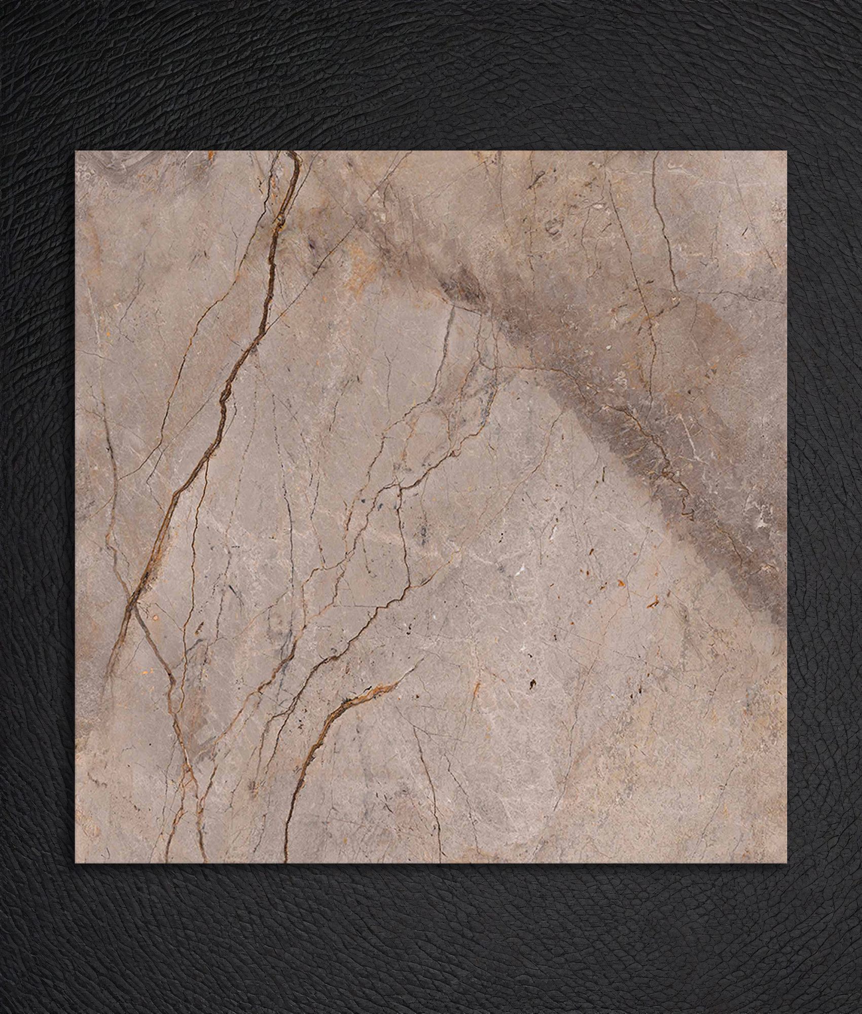 WILD FOREST GREY 120X120 - 1,44 m²