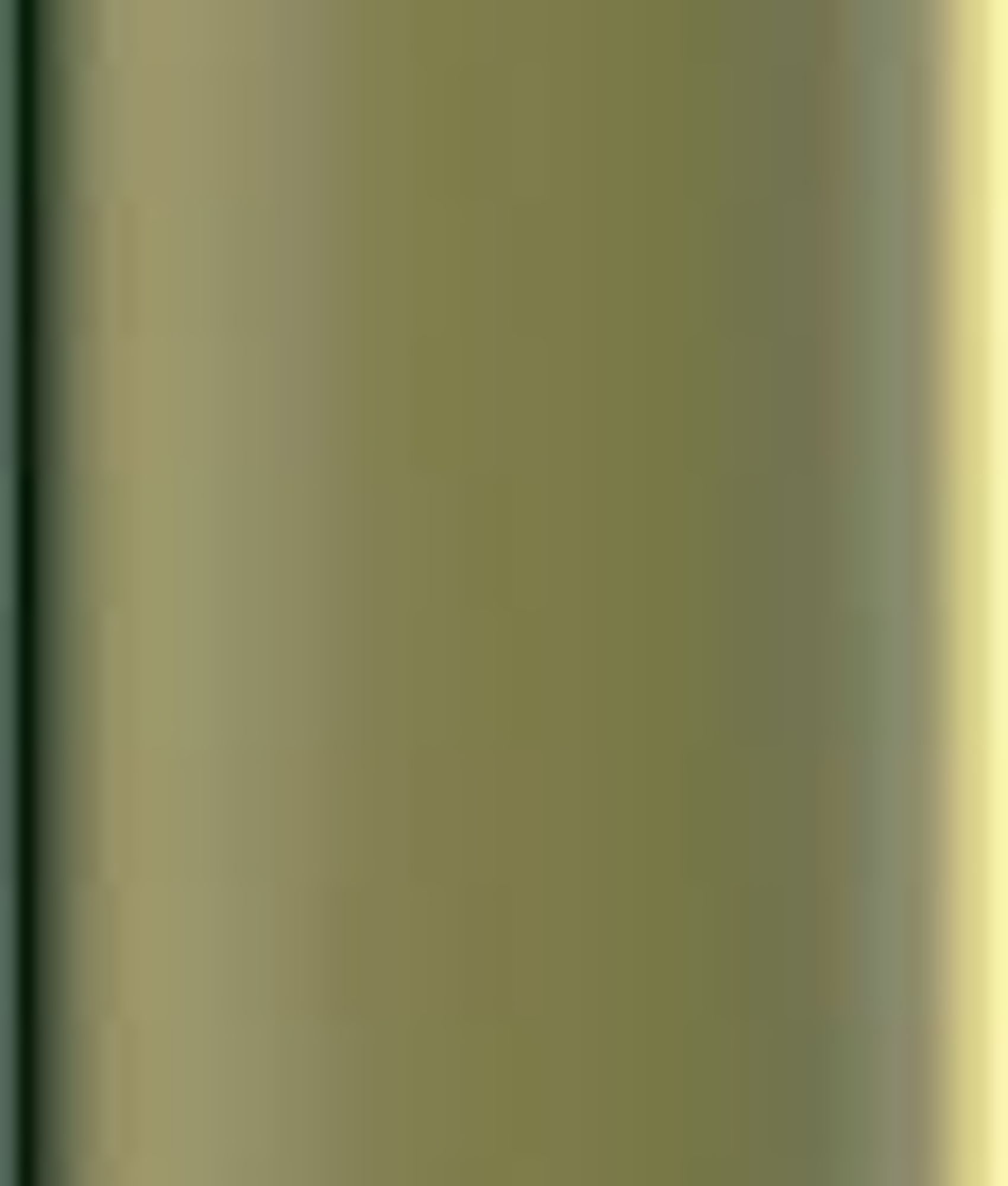 Faïence SWELL STICK WAIKIKI VERDE BRILLANT 2x23 cm