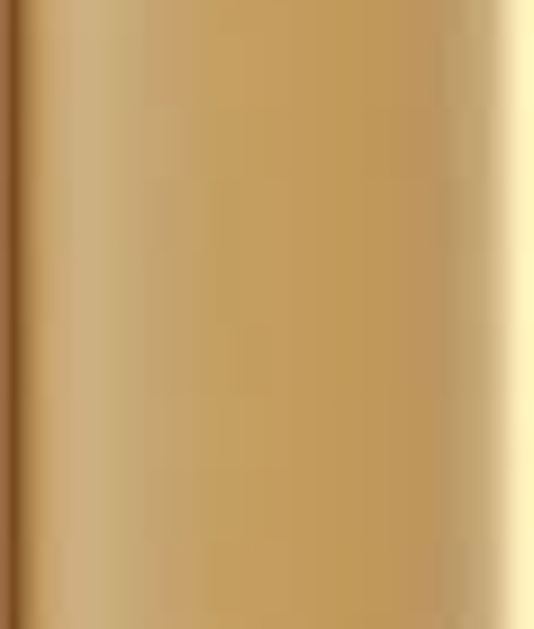 Faïence SWELL STICK WAIKIKI OCRE BRILLANT 2x23 cm