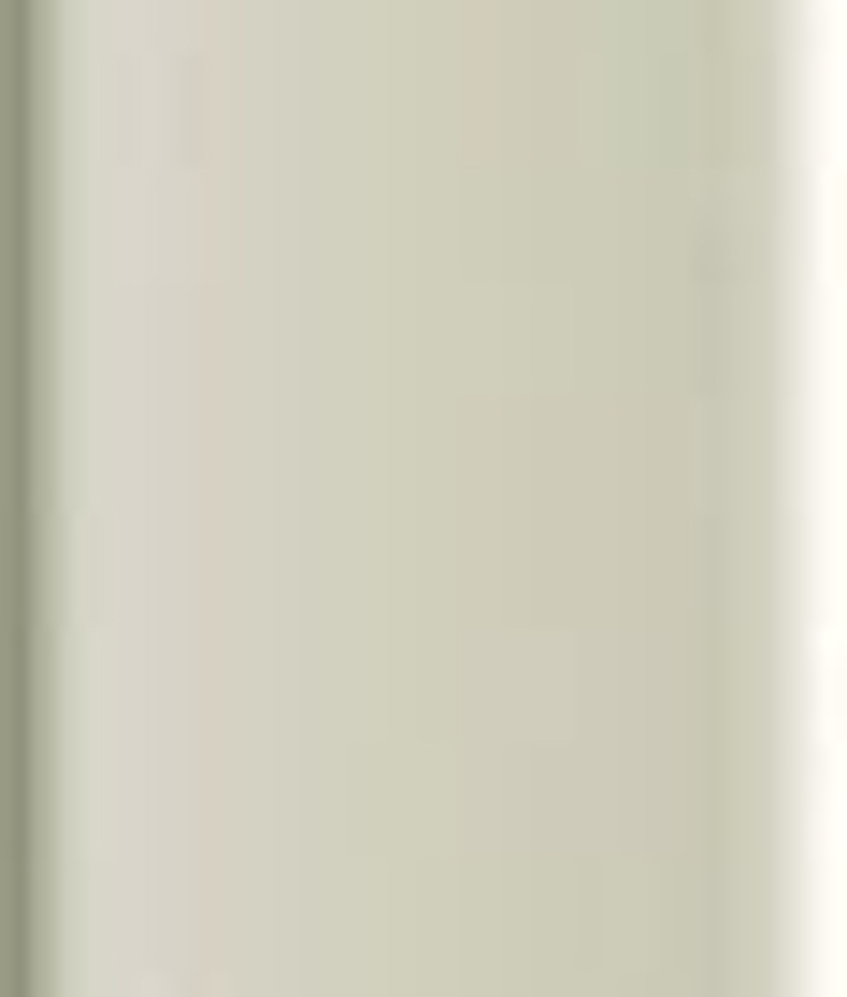 Faïence SWELL STICK WAIKIKI GREIGE BRILLANT 2x23 cm