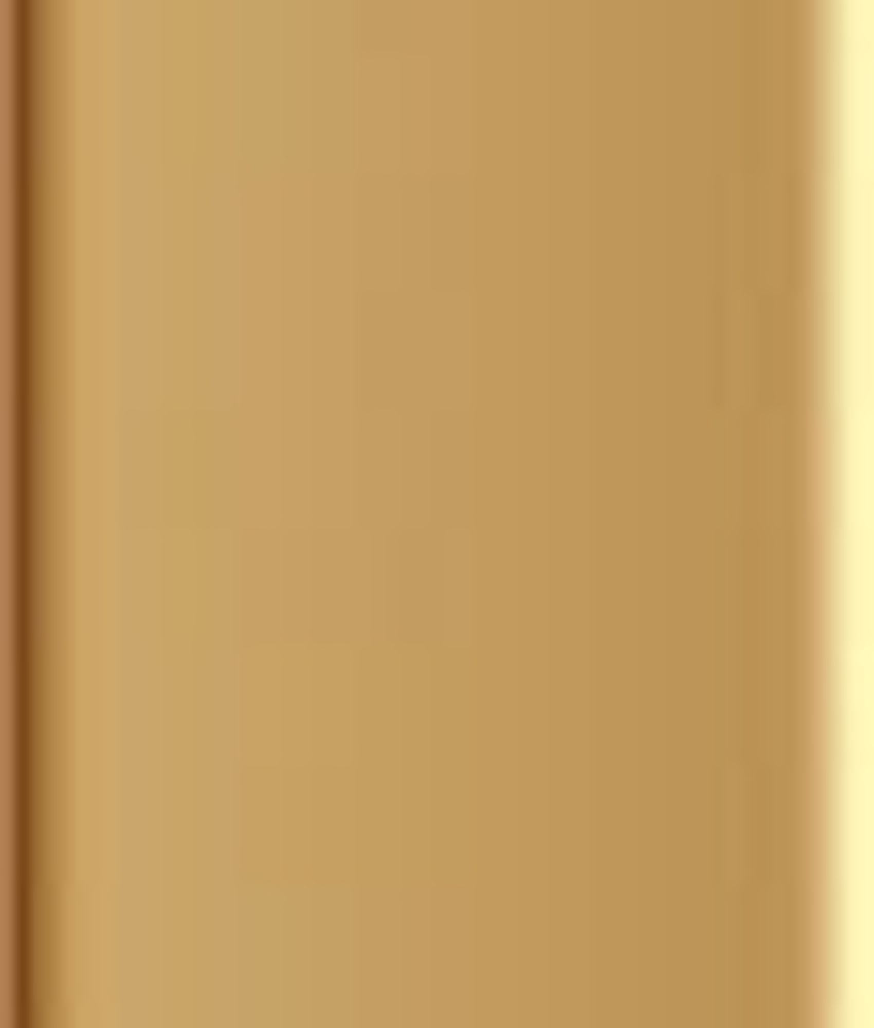 Faïence SWELL STICK KAIMU OCRE MATT 2x23 cm