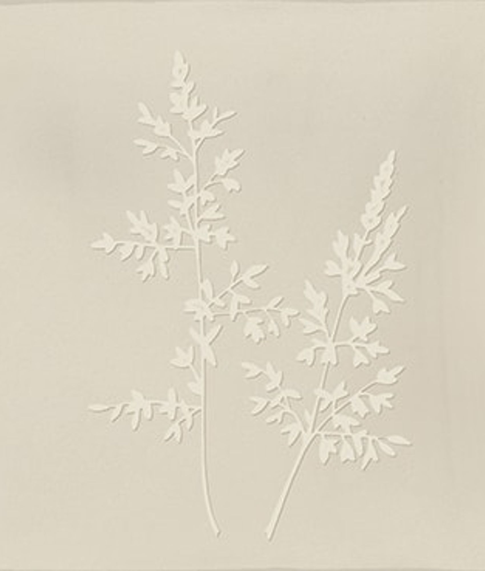Faïence décorative ROOT ARVUM-4 PEARL 13X13 cm