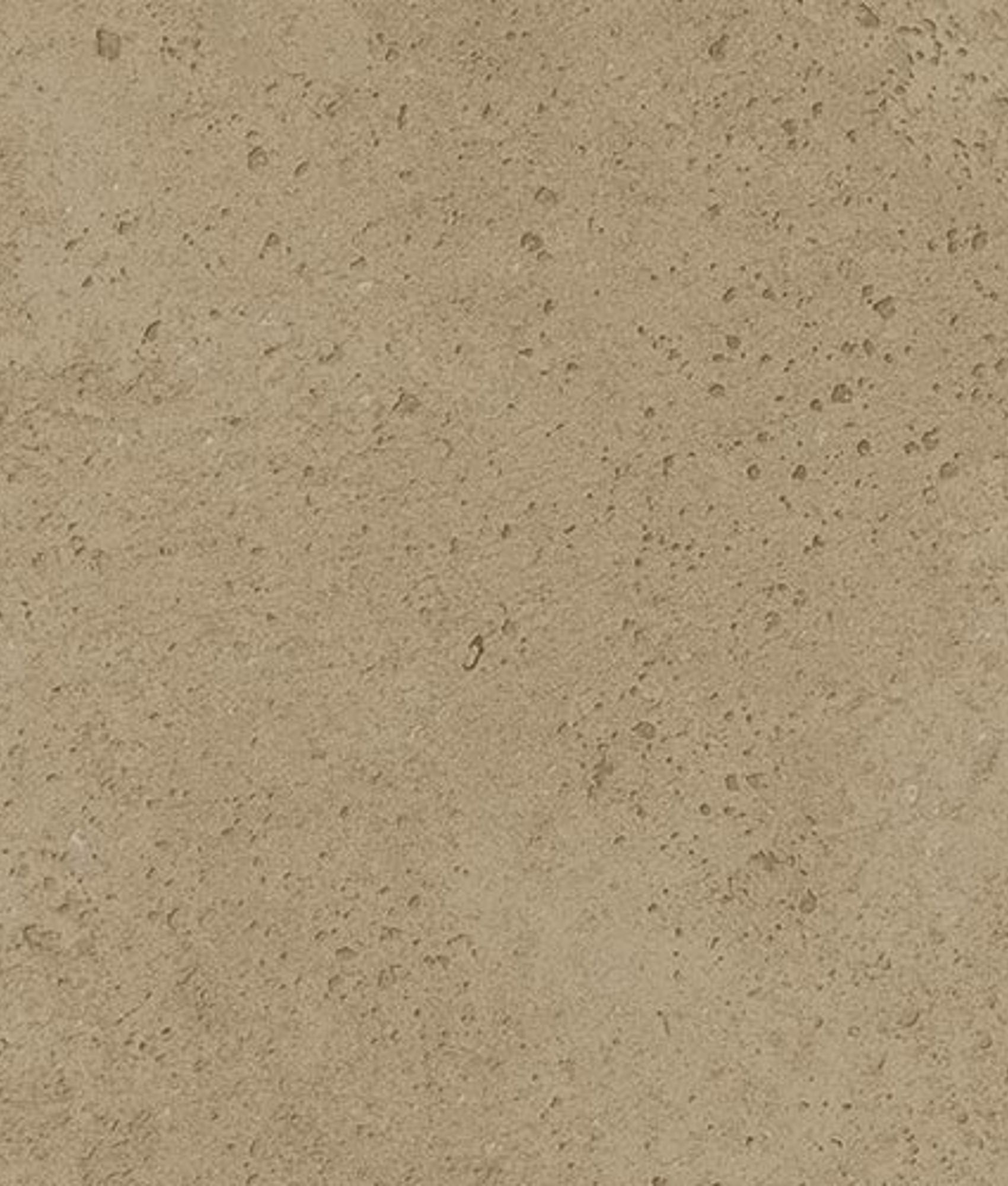 Faïence ROOT MELLOW 13X13 cm